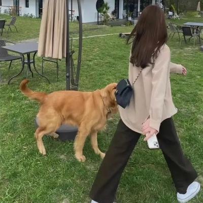 街头圣女